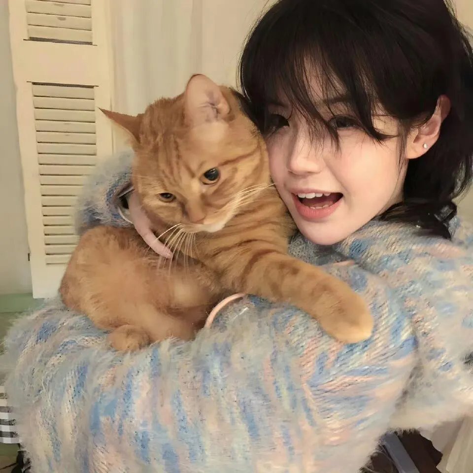 杰克与豆茎:从前从前以后